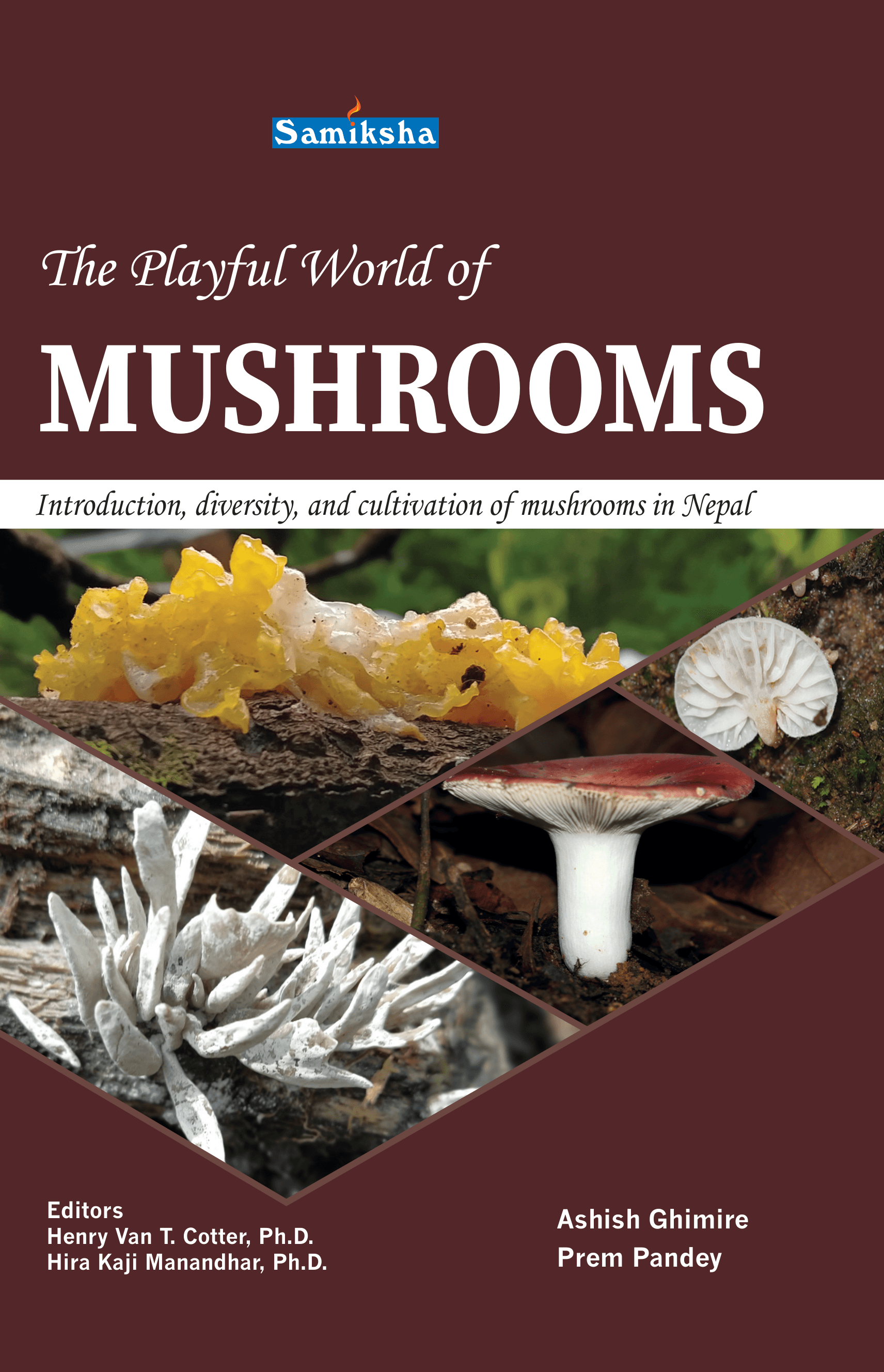 The Playful World of Mushrooms